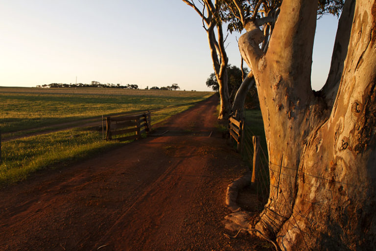 Contact us Eden Valley Biodynamic Farm