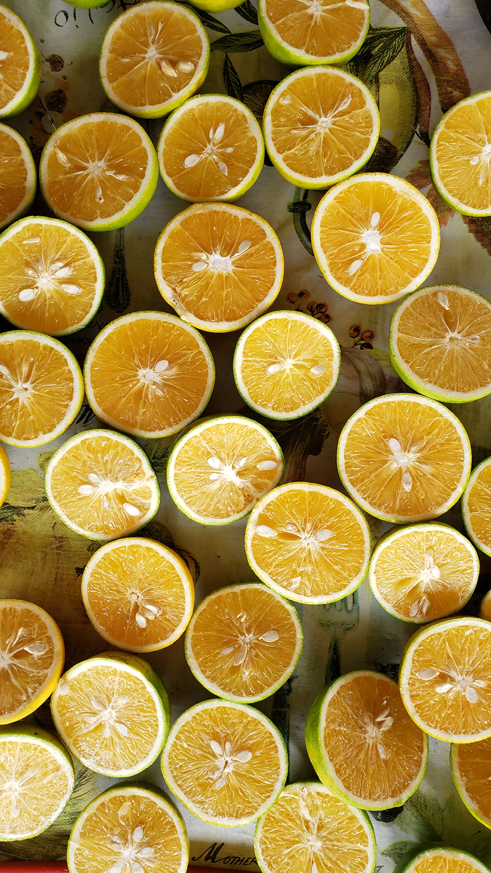 Lemons and limes for the lemon-lime coconut syrup cake recipe